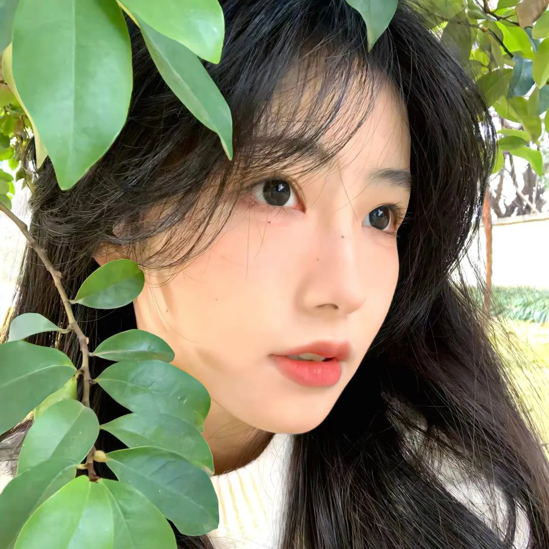 水栖家族